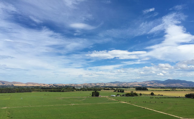 NZの空
